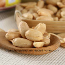 Hot Sale Roasted Peanut Kernels From China